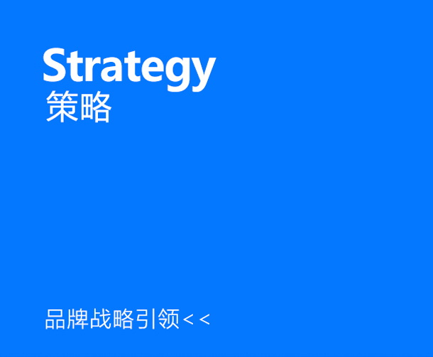 定方向——品牌战略引领