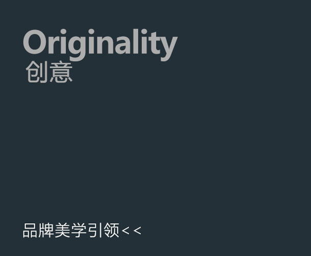 塑美学——品牌美学引领